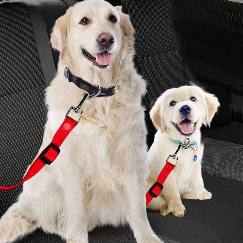 Pet Car Safety Leash for Dogs – Seatbelt Attachment for Car Rides